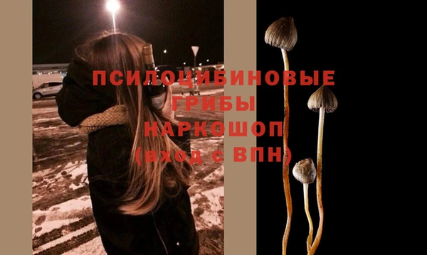 прущий лед Приозерск