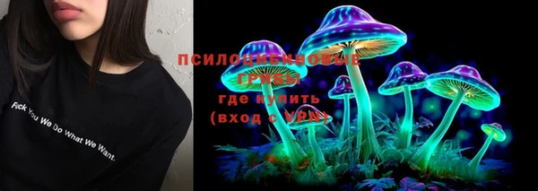 твердый Пролетарск