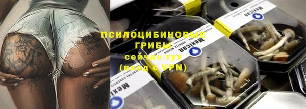 твердый Пролетарск